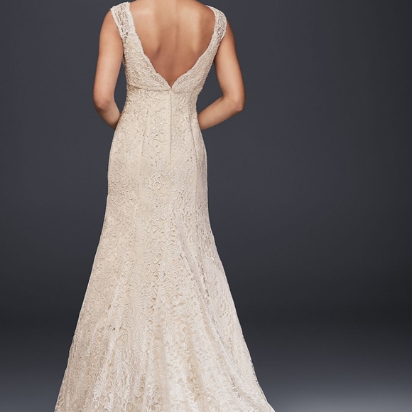 David's bridal allover lace trumpet gown - Picture 2 of 11